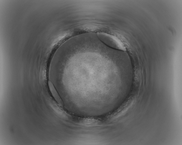 X0000115600399200911101410