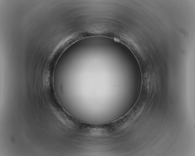 X0000115600400200911101410