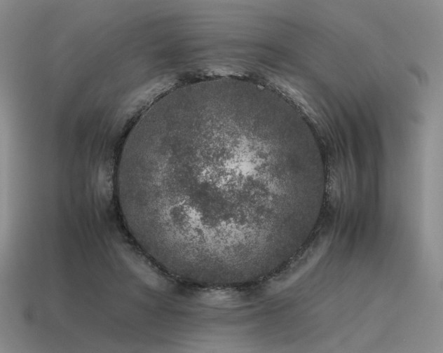 X0000115600402200911101410