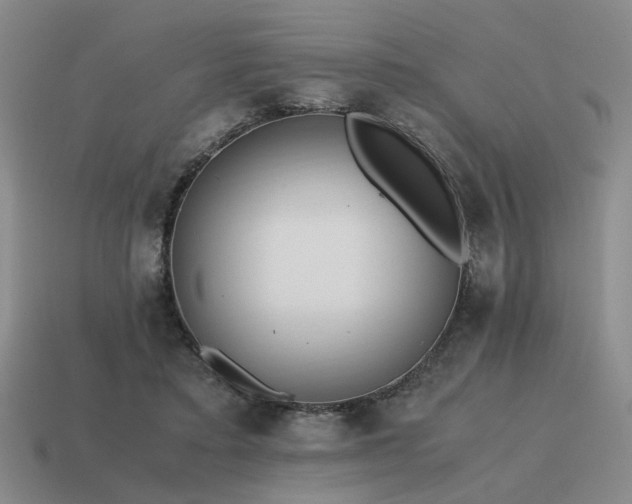 X0000115600403200911101410