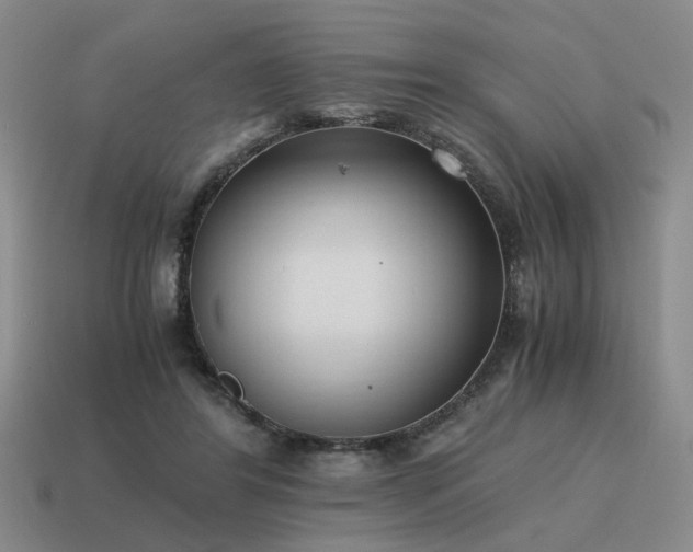 X0000115600404200911101410