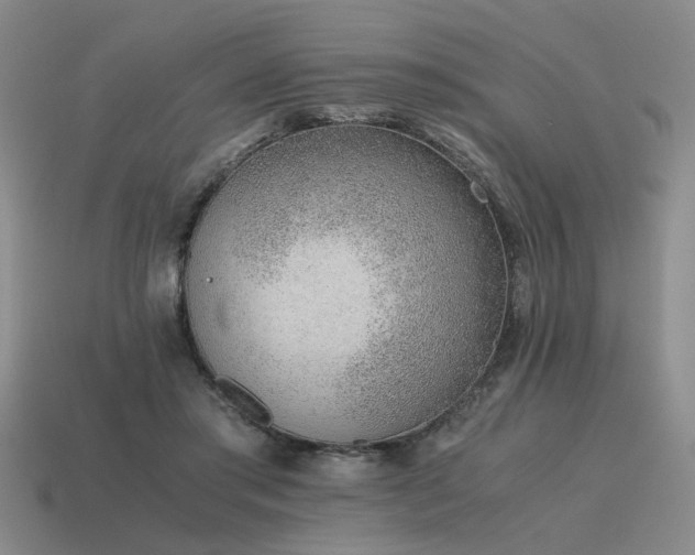 X0000115600405200911101410