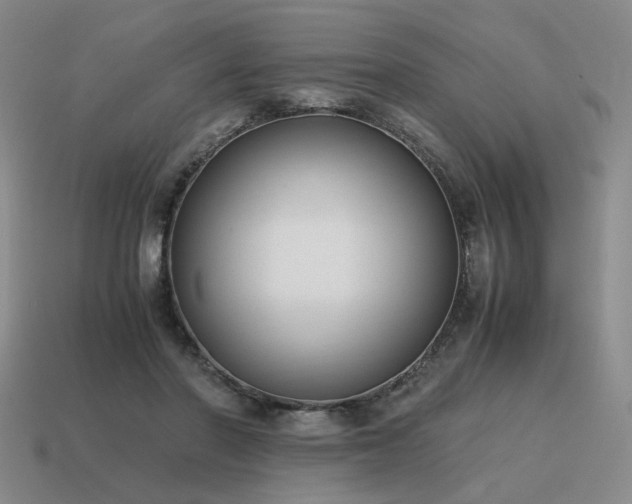 X0000115600406200911101410