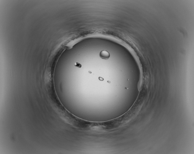 X0000115600407200911101410