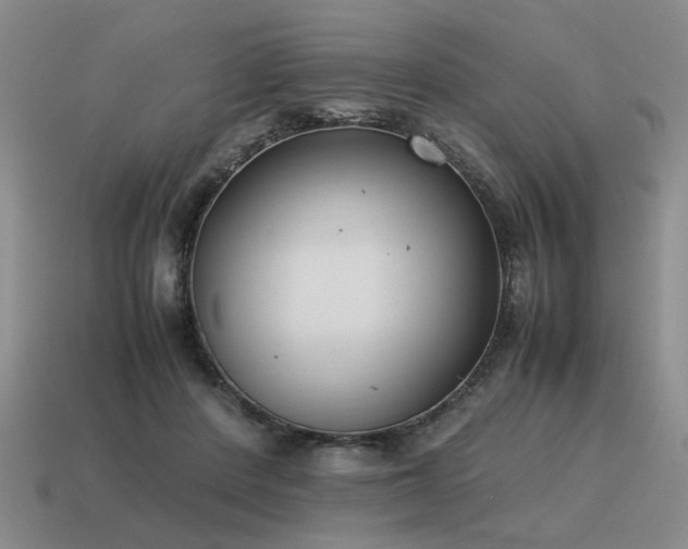 X0000115600408200911101410