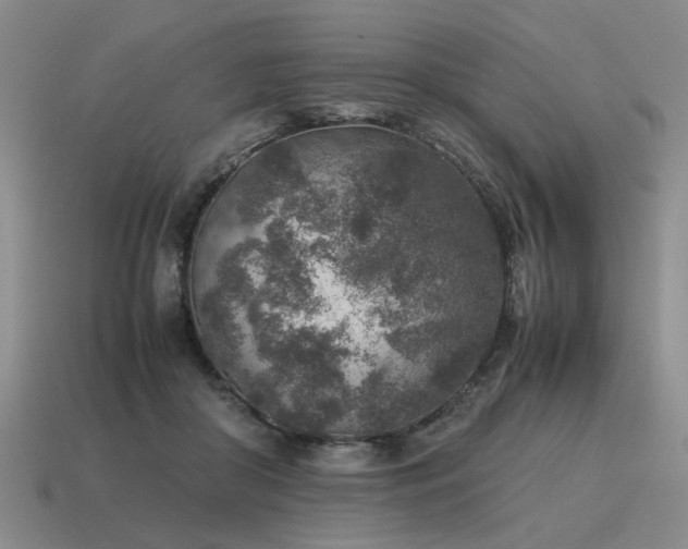 X0000115600410200911101410