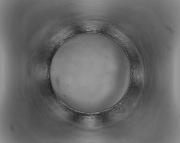 X0000115600411200911101410