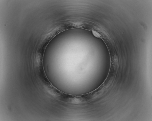 X0000115600412200911101410