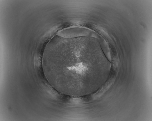 X0000115600413200911101410