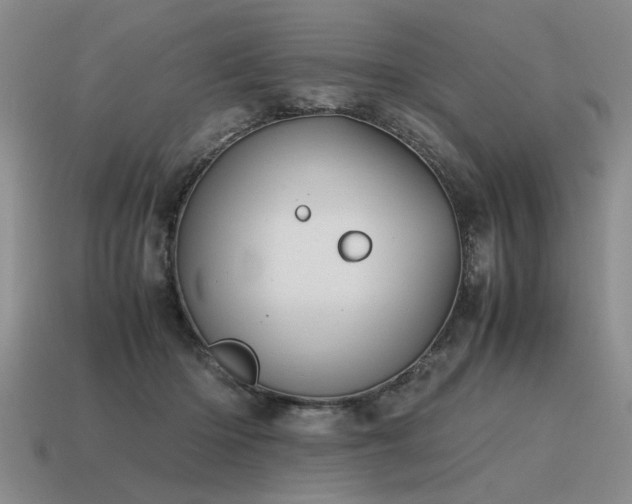 X0000115600414200911101410