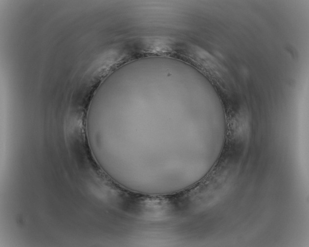 X0000115600415200911101410