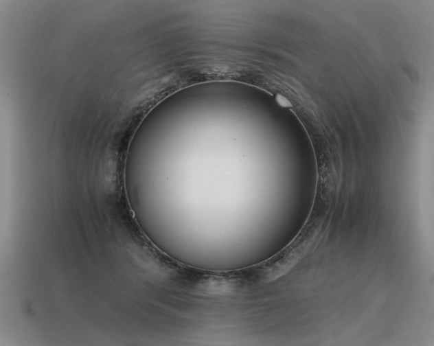 X0000115600416200911101410