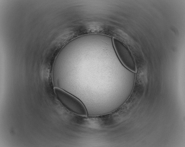 X0000115600417200911101410