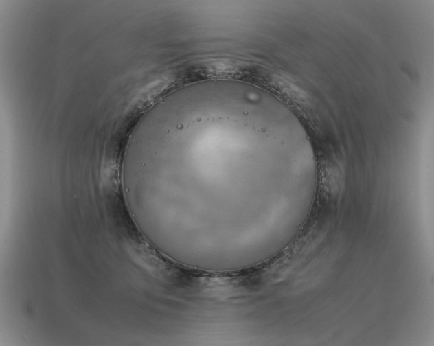 X0000115600419200911101410