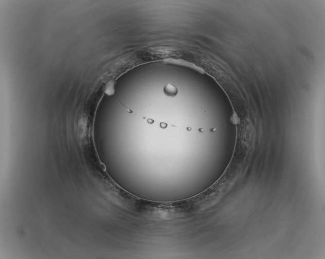 X0000115600420200911101410