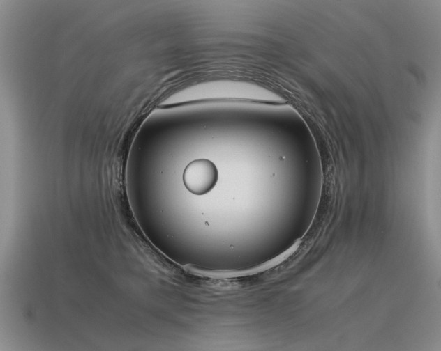 X0000115600421200911101410