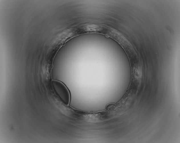 X0000115600422200911101410