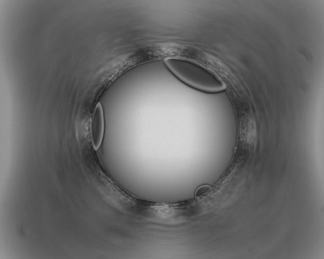 X0000115600425200911101410