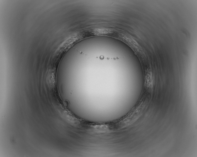 X0000115600426200911101410