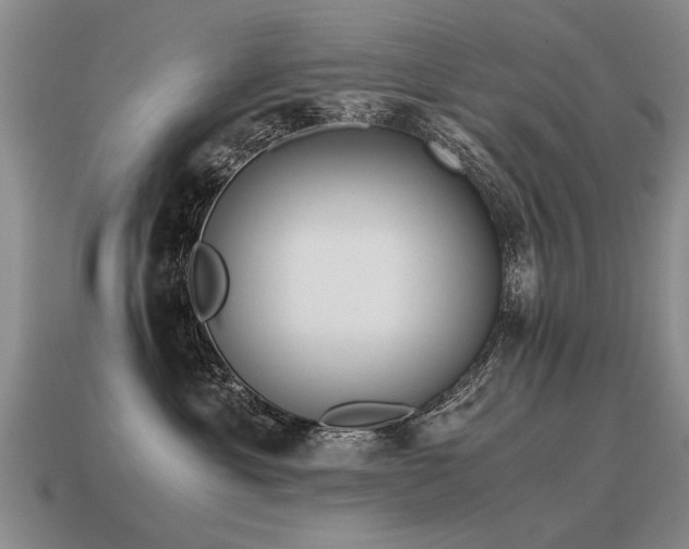 X0000115600429200911101410