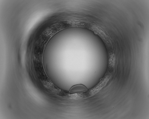 X0000115600430200911101410