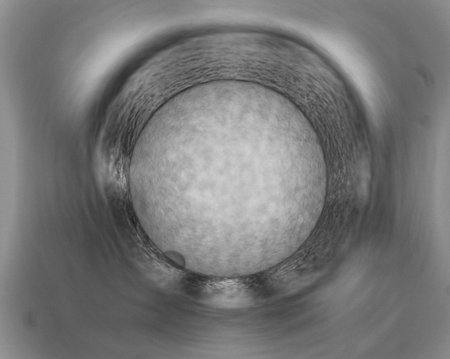 X0000115600431200911101410