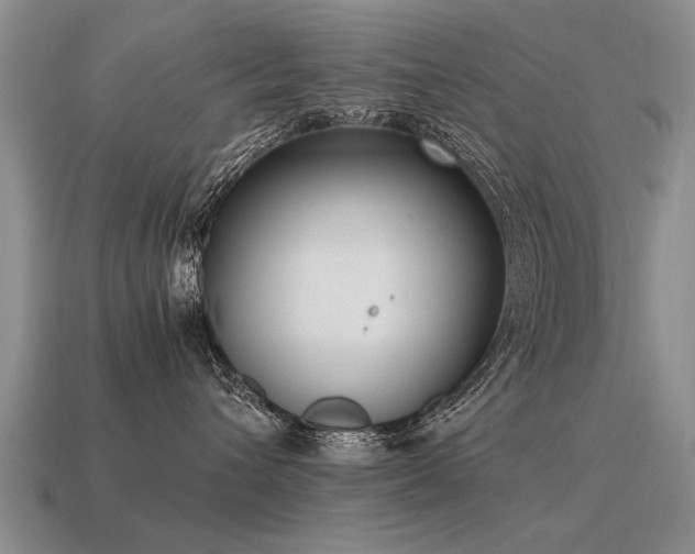 X0000115600432200911101410