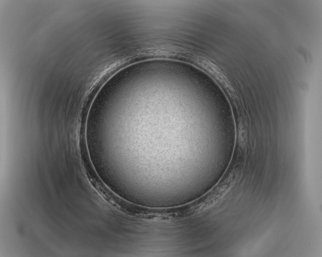 X0000115600434200911101409