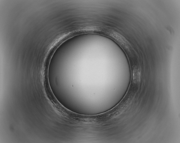 X0000115600436200911101409