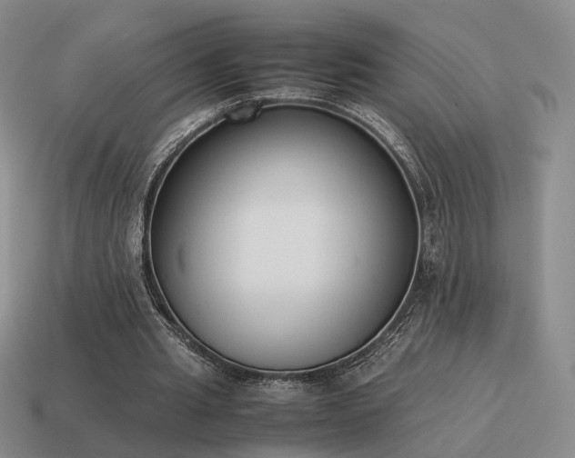 X0000115600437200911101409