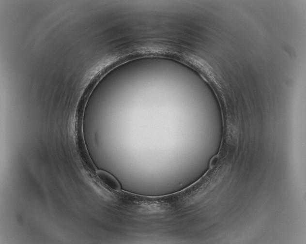 X0000115600439200911101409