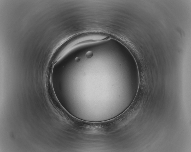 X0000115600440200911101409