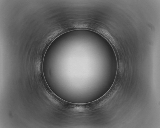 X0000115600441200911101409