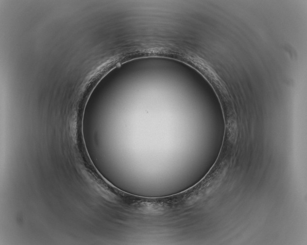 X0000115600442200911101409