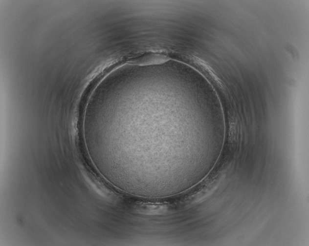 X0000115600443200911101409