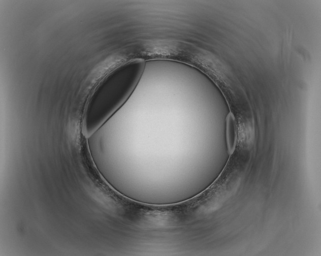 X0000115600444200911101409