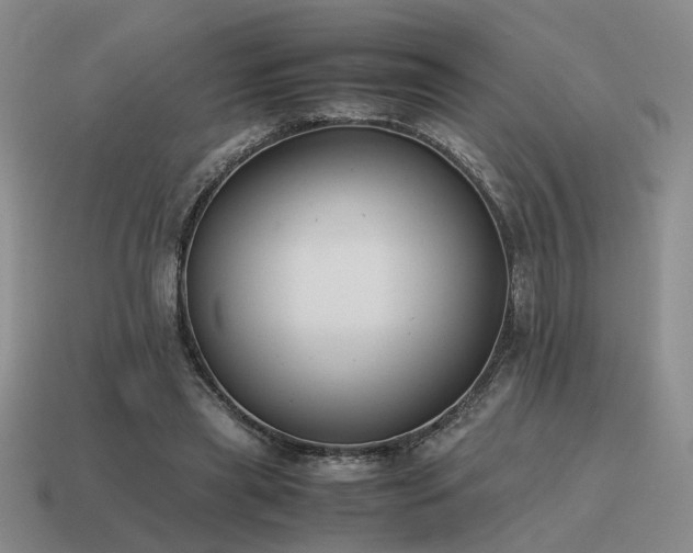 X0000115600445200911101409