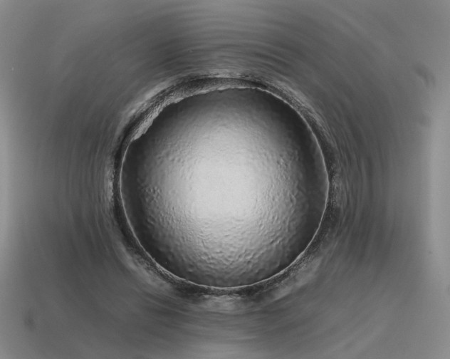 X0000115600446200911101409