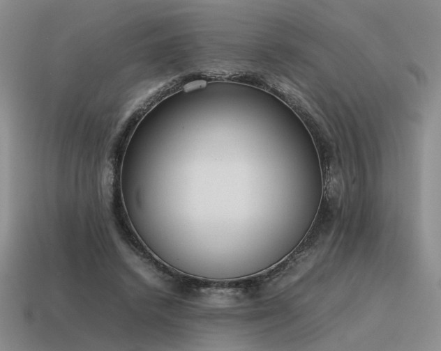 X0000115600448200911101409