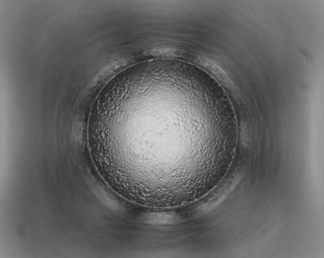 X0000115600449200911101409