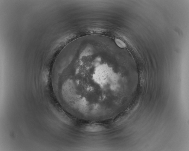 X0000115600451200911101409