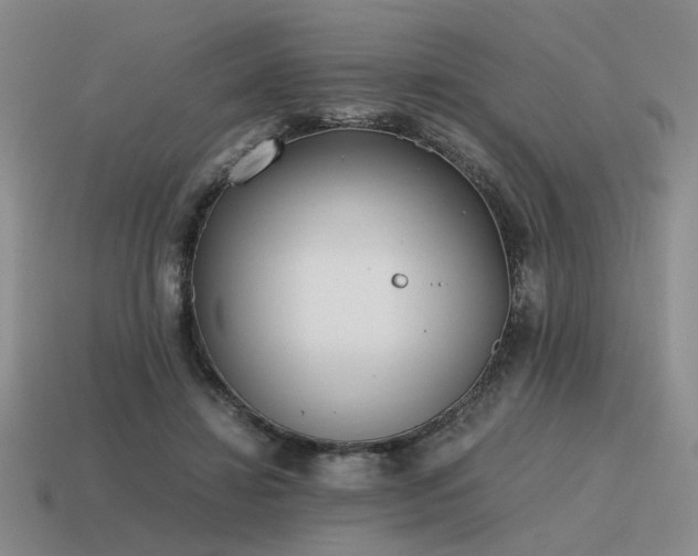 X0000115600452200911101409