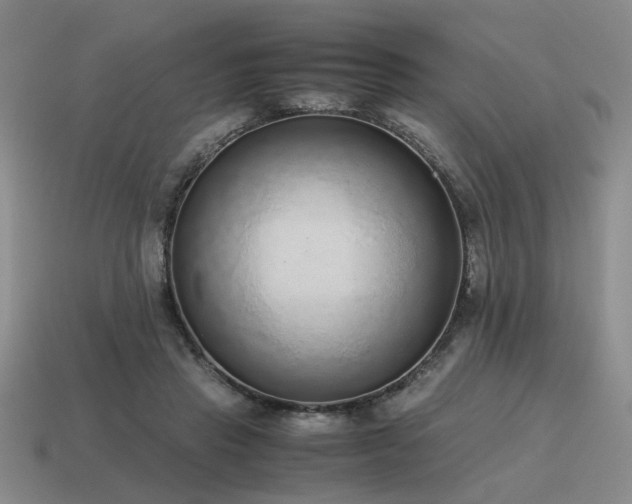 X0000115600453200911101409