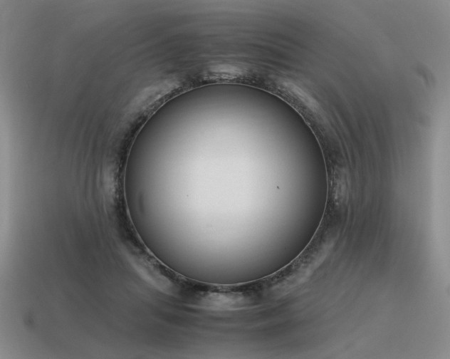 X0000115600455200911101409