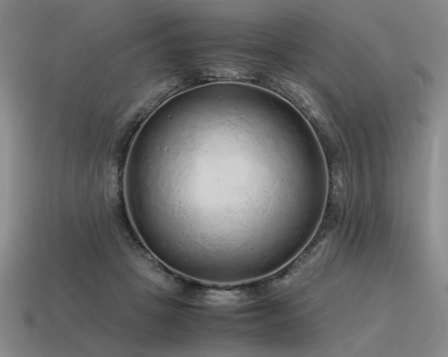 X0000115600457200911101409