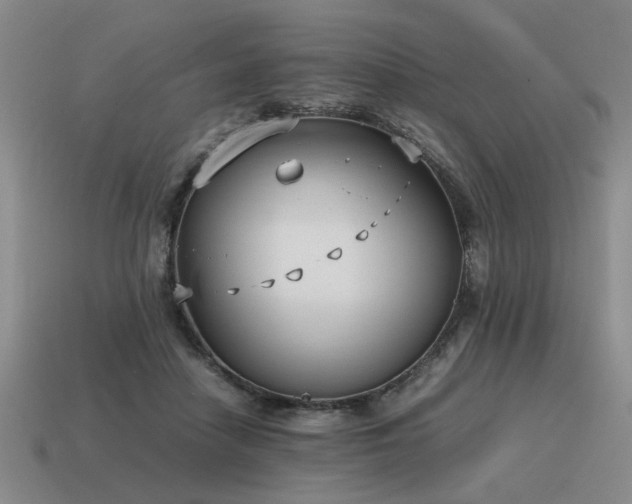 X0000115600458200911101409