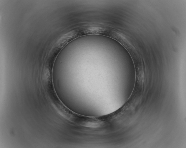 X0000115600459200911101409