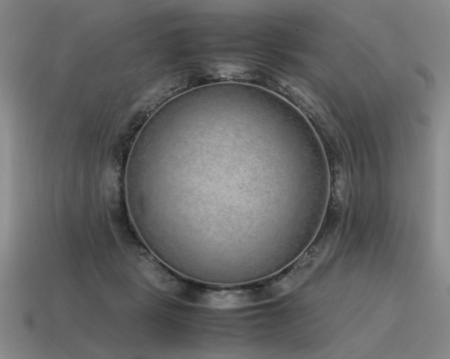 X0000115600461200911101409