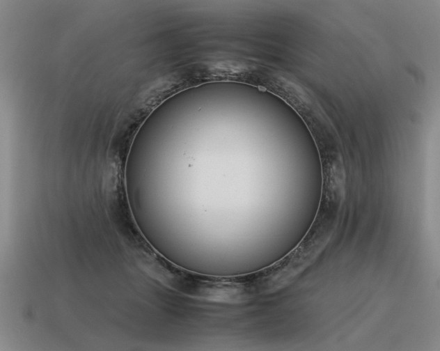 X0000115600463200911101409