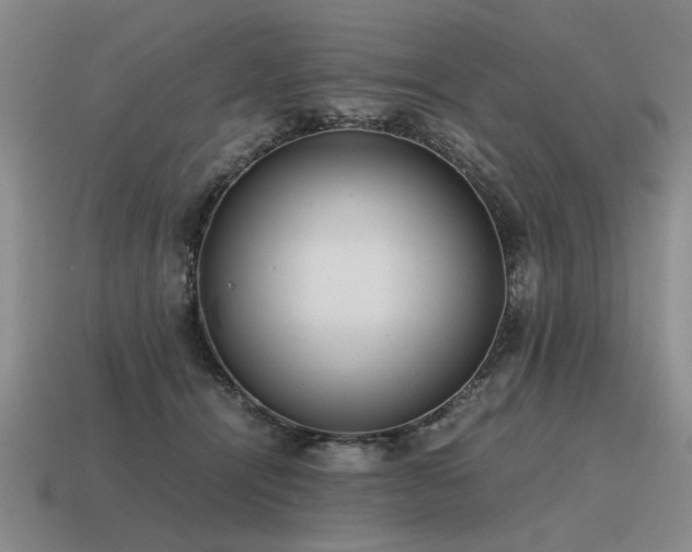 X0000115600464200911101409